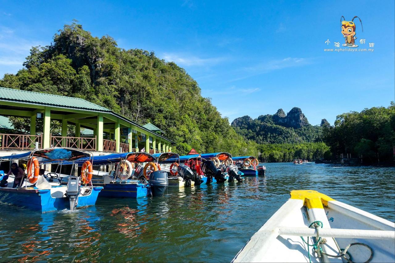 Jelajahi Keindahan Mangrove Langkawi dengan Tur yang Menakjubkan